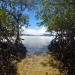 DCIM101GOPROGOPR2274.