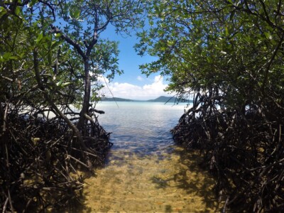 DCIM101GOPROGOPR2274.